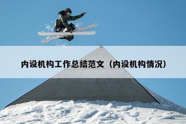内设机构工作总结范文(内设机构情况)