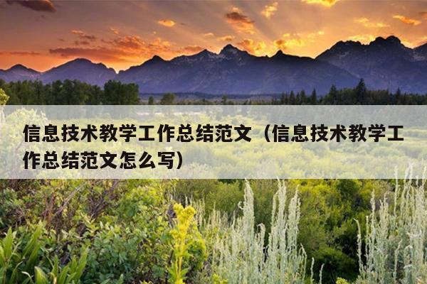 信息技术教学工作总结范文(信息技术教学工作总结范文怎么写)