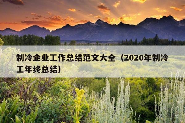 制冷企业工作总结范文大全(2020年制冷工年终总结)