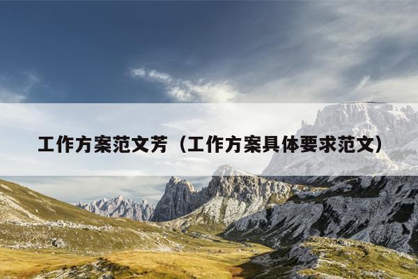 工作方案范文芳(工作方案具体要求范文)