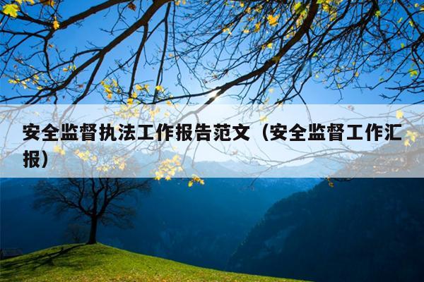 安全监督执法工作报告范文(安全监督工作汇报)