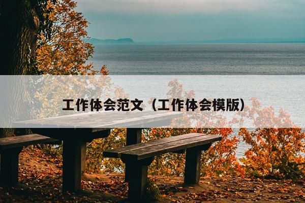 工作体会范文(工作体会模版)