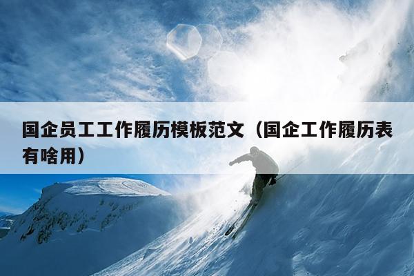 国企员工工作履历模板范文(国企工作履历表有啥用)