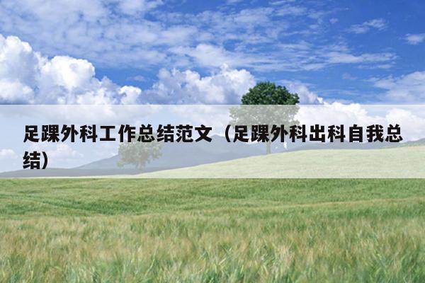 足踝外科工作总结范文(足踝外科出科自我总结)