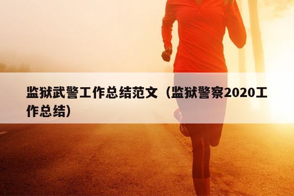 监狱武警工作总结范文(监狱警察2020工作总结)