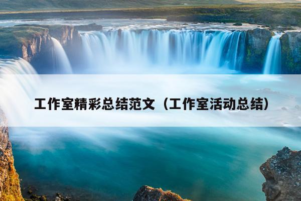 工作室精彩总结范文(工作室活动总结)