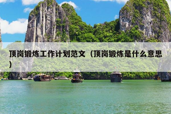 顶岗锻炼工作计划范文(顶岗锻炼是什么意思)