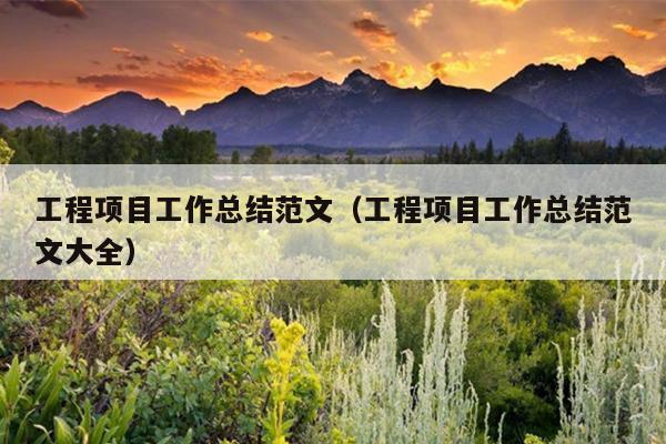 工程项目工作总结范文(工程项目工作总结范文大全)