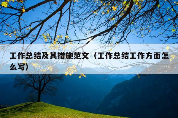 工作总结及其措施范文(工作总结工作方面怎么写)