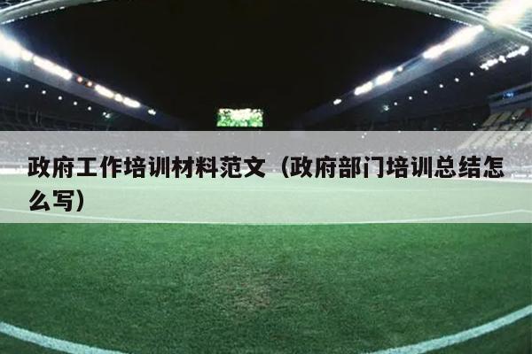 政府工作培训材料范文(政府部门培训总结怎么写)