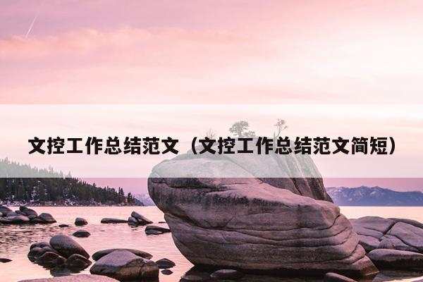 文控工作总结范文(文控工作总结范文简短)
