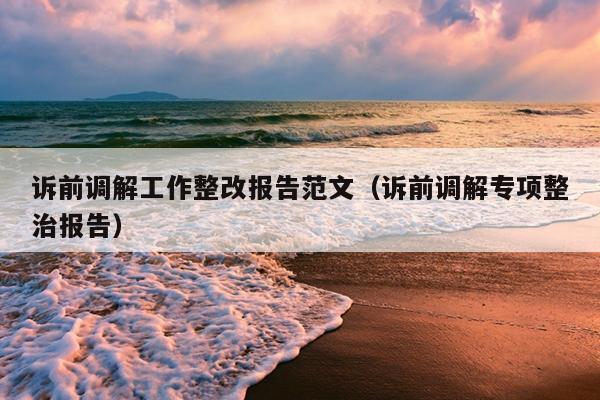 诉前调解工作整改报告范文(诉前调解专项整治报告)