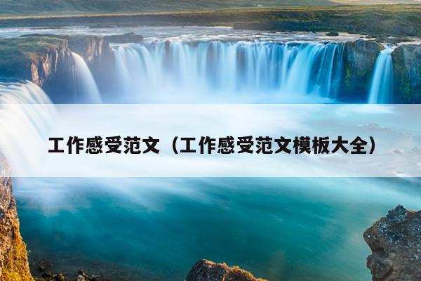 工作感受范文(工作感受范文模板大全)