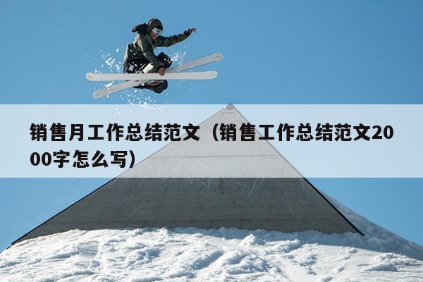销售月工作总结范文(销售工作总结范文2000字怎么写)