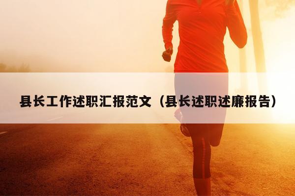 县长工作述职汇报范文(县长述职述廉报告)