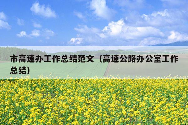 市高速办工作总结范文(高速公路办公室工作总结)