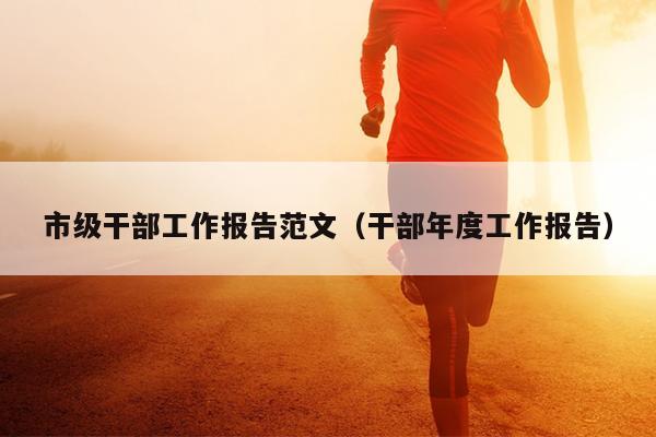 市级干部工作报告范文(干部年度工作报告)