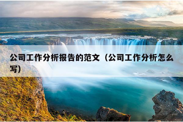 公司工作分析报告的范文(公司工作分析怎么写)