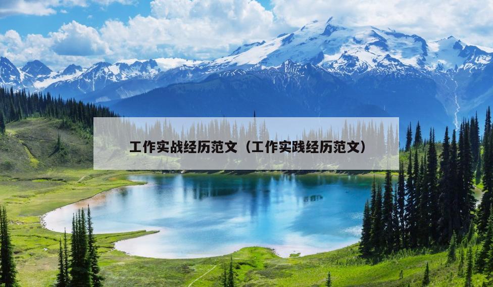 工作实战经历范文(工作实践经历范文)
