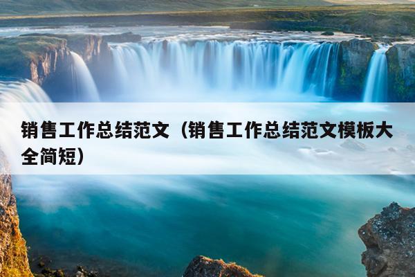 销售工作总结范文(销售工作总结范文模板大全简短)