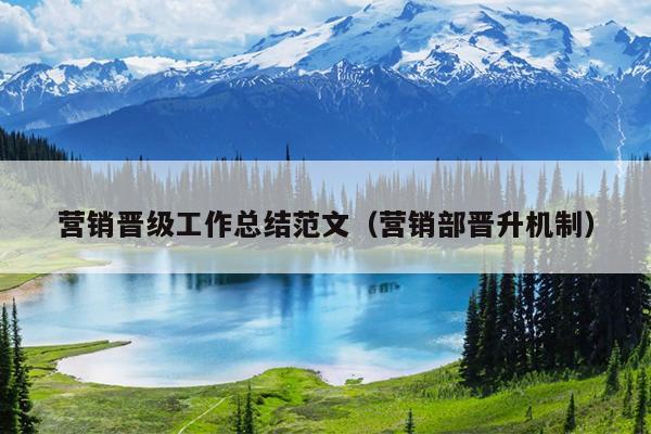 营销晋级工作总结范文(营销部晋升机制)