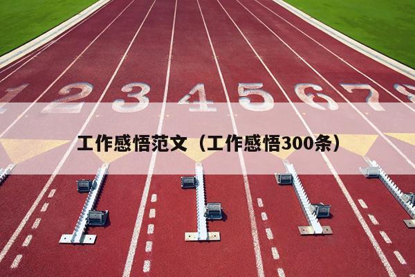 工作感悟范文(工作感悟300条)