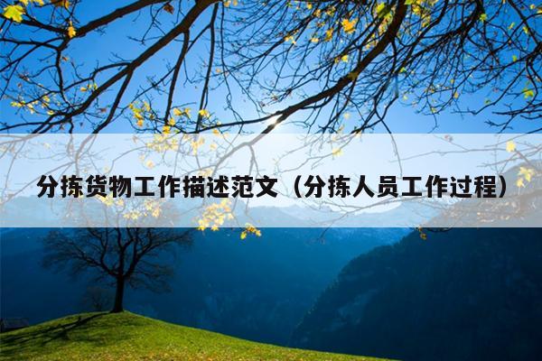 分拣货物工作描述范文(分拣人员工作过程)