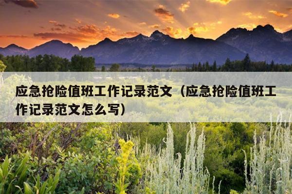 应急抢险值班工作记录范文(应急抢险值班工作记录范文怎么写)