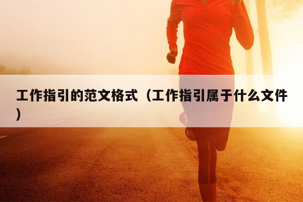 工作指引的范文格式(工作指引属于什么文件)