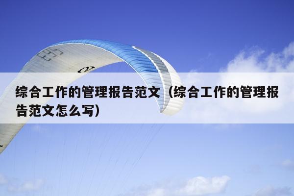 综合工作的管理报告范文(综合工作的管理报告范文怎么写)