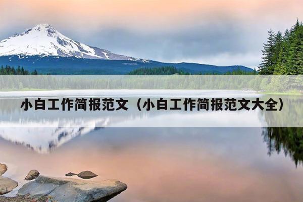 小白工作简报范文(小白工作简报范文大全)