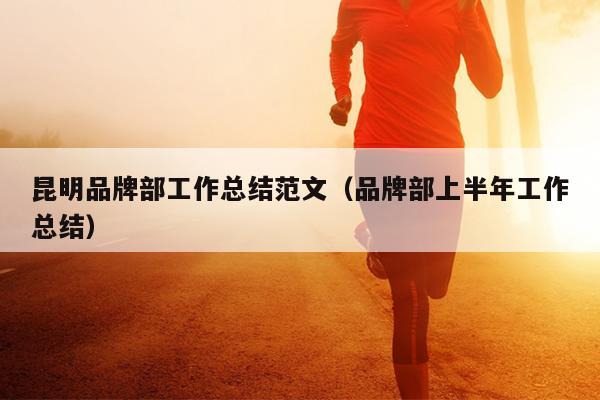 昆明品牌部工作总结范文(品牌部上半年工作总结)
