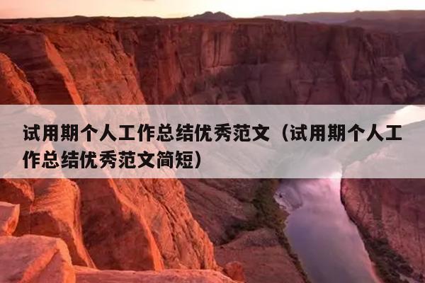 试用期个人工作总结优秀范文(试用期个人工作总结优秀范文简短)