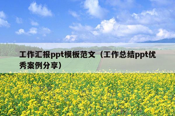 工作汇报ppt模板范文(工作总结ppt优秀案例分享)
