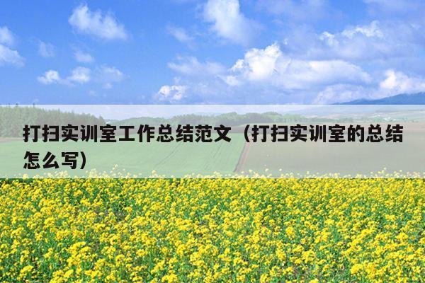 打扫实训室工作总结范文(打扫实训室的总结怎么写)