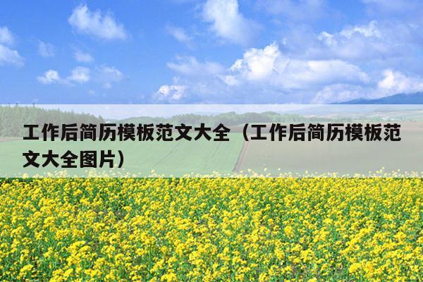 工作后简历模板范文大全(工作后简历模板范文大全图片)