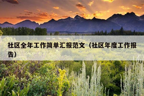 社区全年工作简单汇报范文(社区年度工作报告)