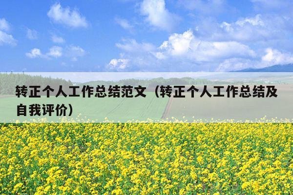 转正个人工作总结范文(转正个人工作总结及自我评价)