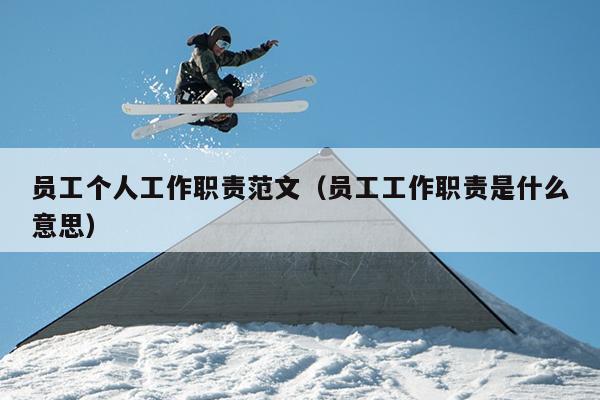 员工个人工作职责范文(员工工作职责是什么意思)