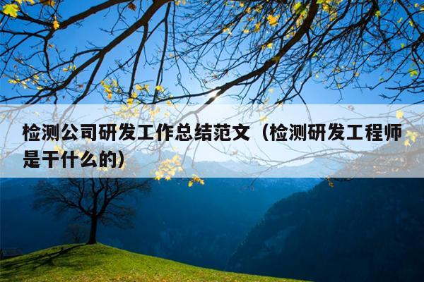 检测公司研发工作总结范文(检测研发工程师是干什么的)