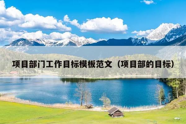 项目部门工作目标模板范文(项目部的目标)