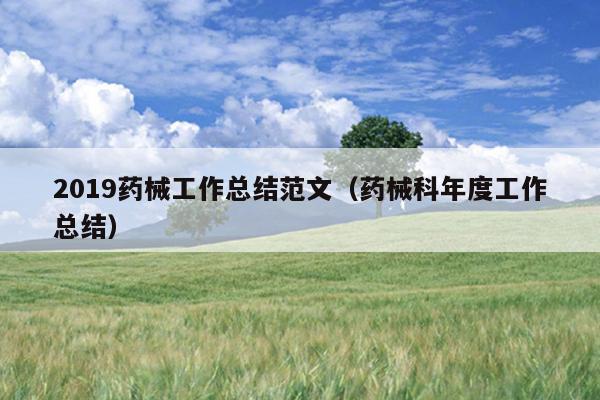 2019药械工作总结范文(药械科年度工作总结)