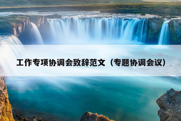 工作专项协调会致辞范文(专题协调会议)