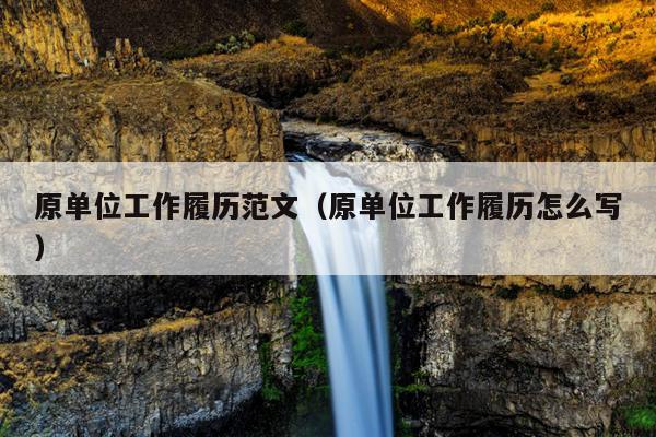 原单位工作履历范文(原单位工作履历怎么写)