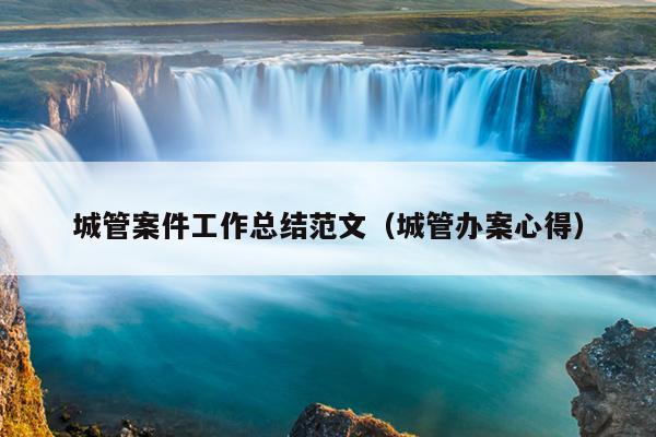 城管案件工作总结范文(城管办案心得)
