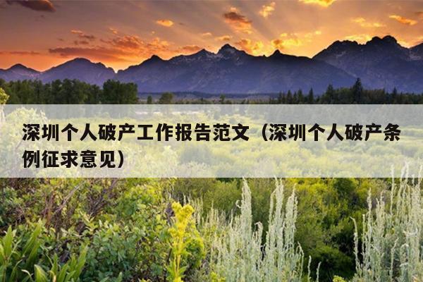 深圳个人破产工作报告范文(深圳个人破产条例征求意见)