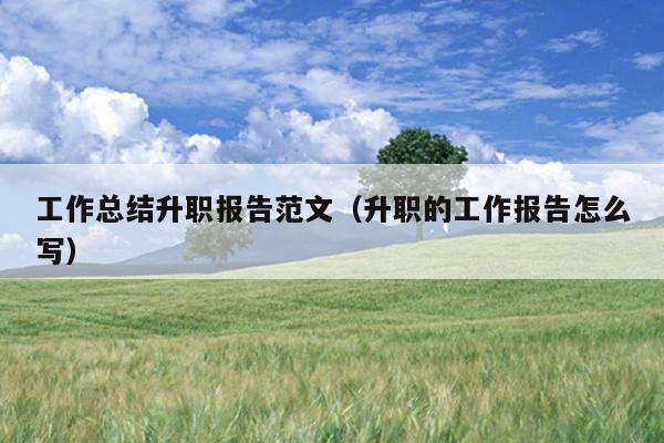 工作总结升职报告范文(升职的工作报告怎么写)