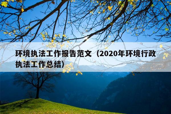 环境执法工作报告范文(2020年环境行政执法工作总结)
