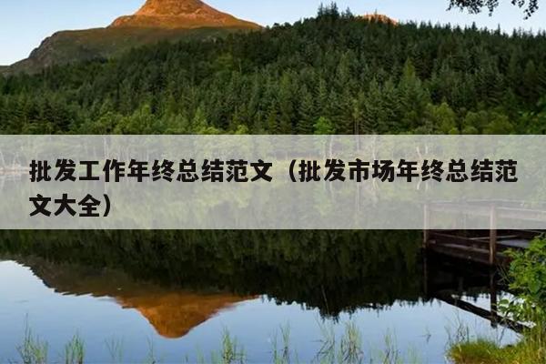 批发工作年终总结范文(批发市场年终总结范文大全)