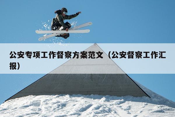 公安专项工作督察方案范文(公安督察工作汇报)